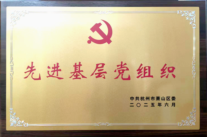 新光公司黨支部榮獲&ldquo;蕭山區先進基層黨組織&rdquo;稱號