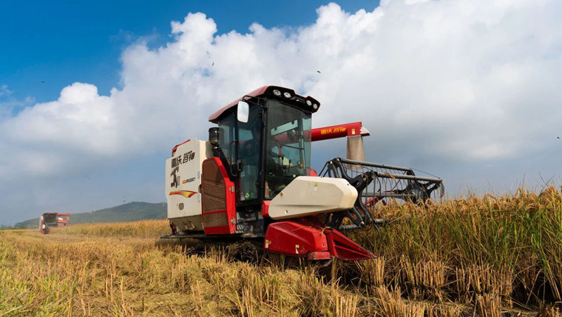 全力以赴奪取秋糧豐收，浙農這樣做&rarr;