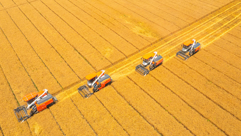 《朝聞天下》《浙江新聞聯播》關注嘉善浙農耘糧油未來農場秋糧收儲工作