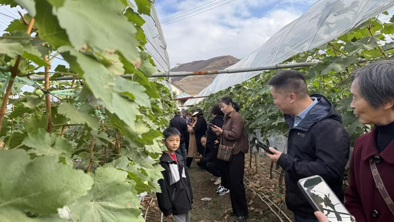 愛普科技組織開展農業游學交流活動