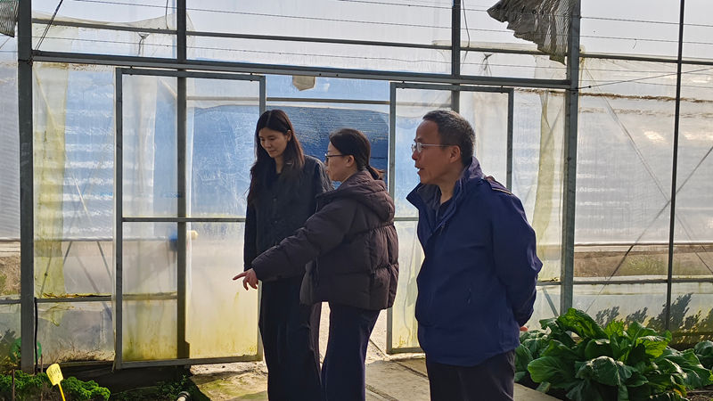 之豇種業開展春節前安全生產專項檢查